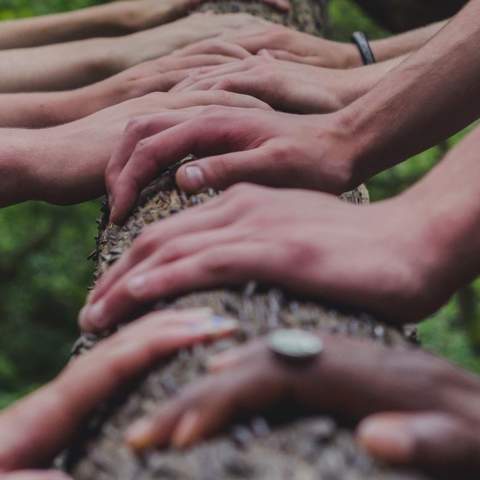 Hands of various people holding a trunk