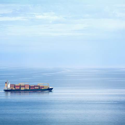 Container ship © Fotolia/pitrs